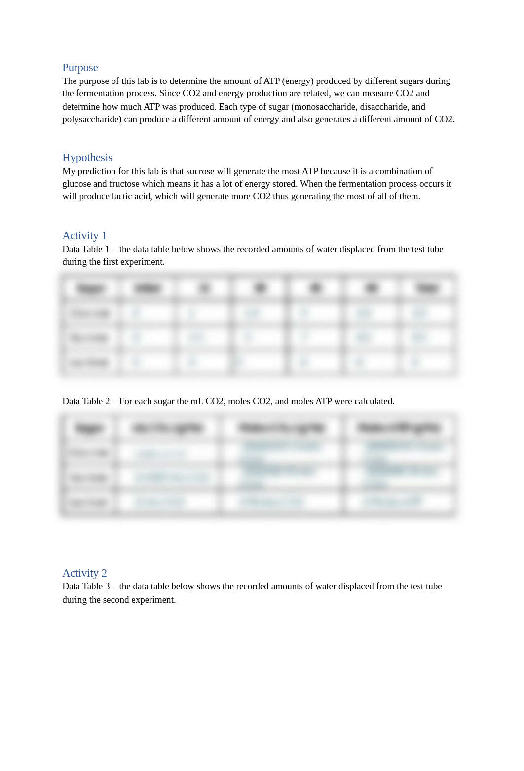 Fermentation Lab Report.docx_dwylzml5cic_page2