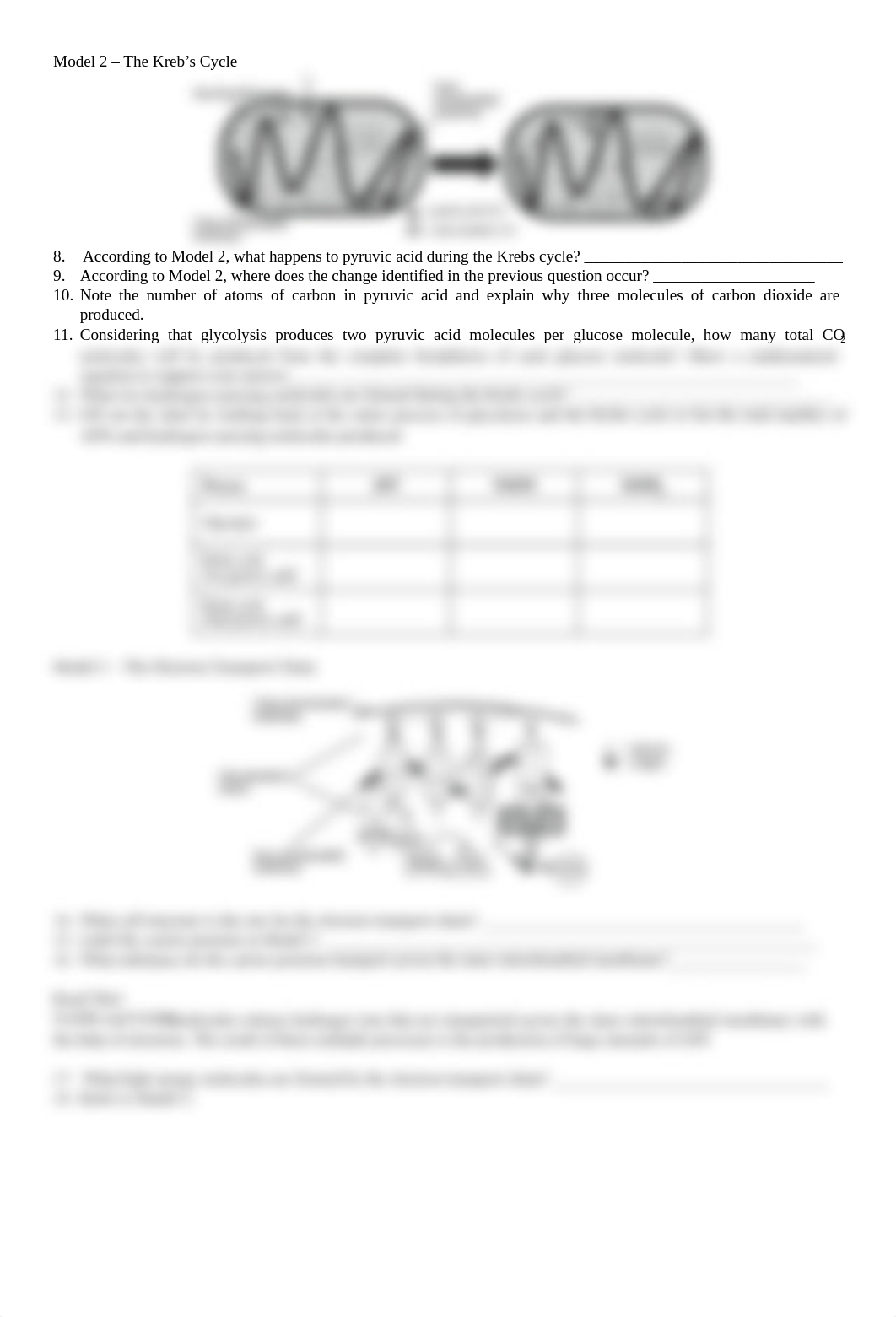 Cellular Respiration-2.pdf_dwymvnshofo_page2