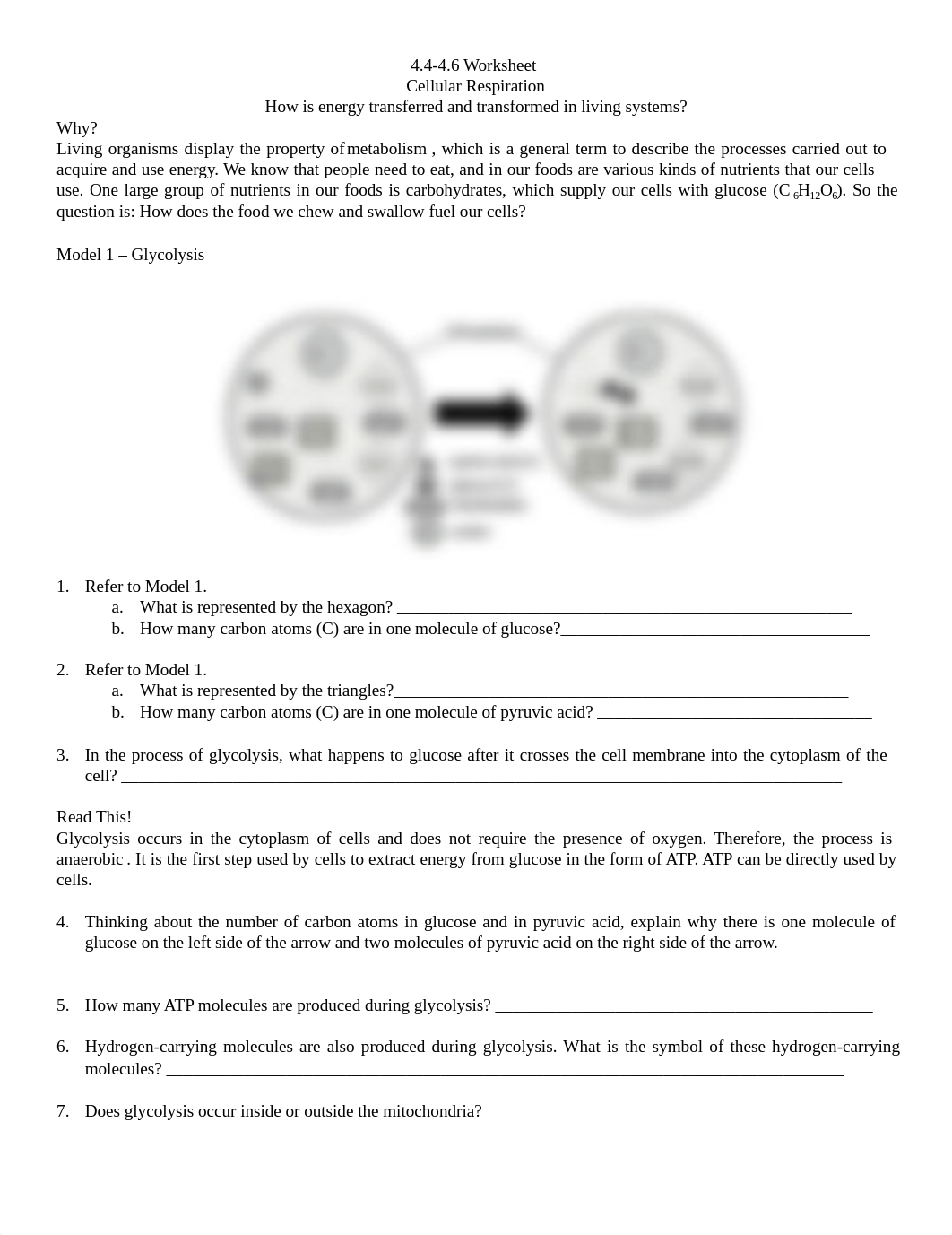 Cellular Respiration-2.pdf_dwymvnshofo_page1