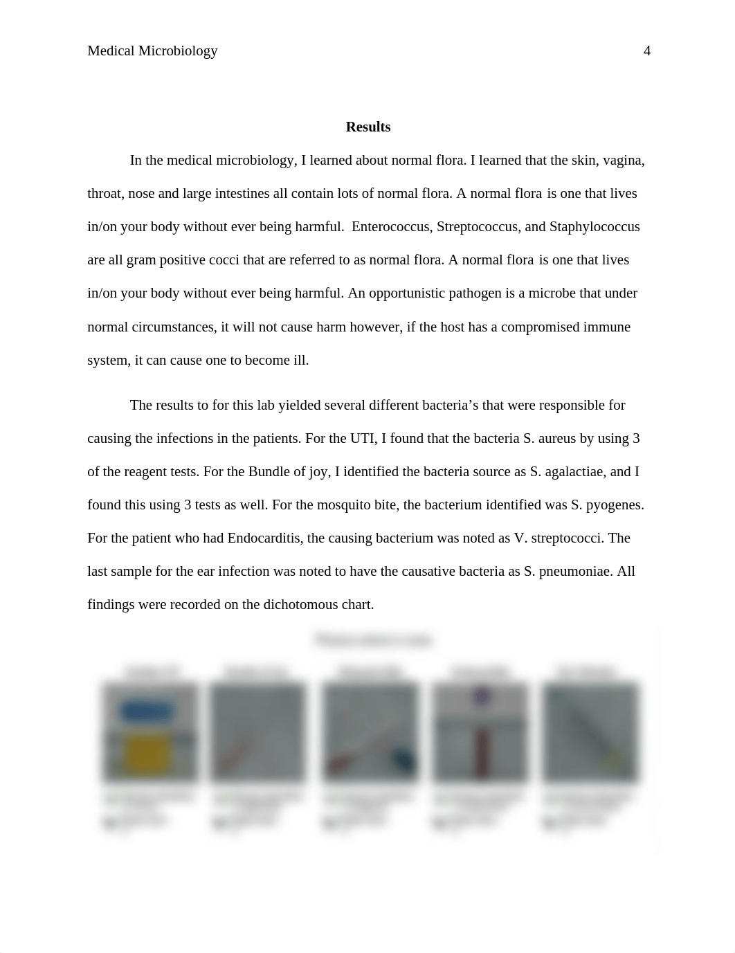 Medical microbiology lab report.docx_dwz4y78l3gx_page4