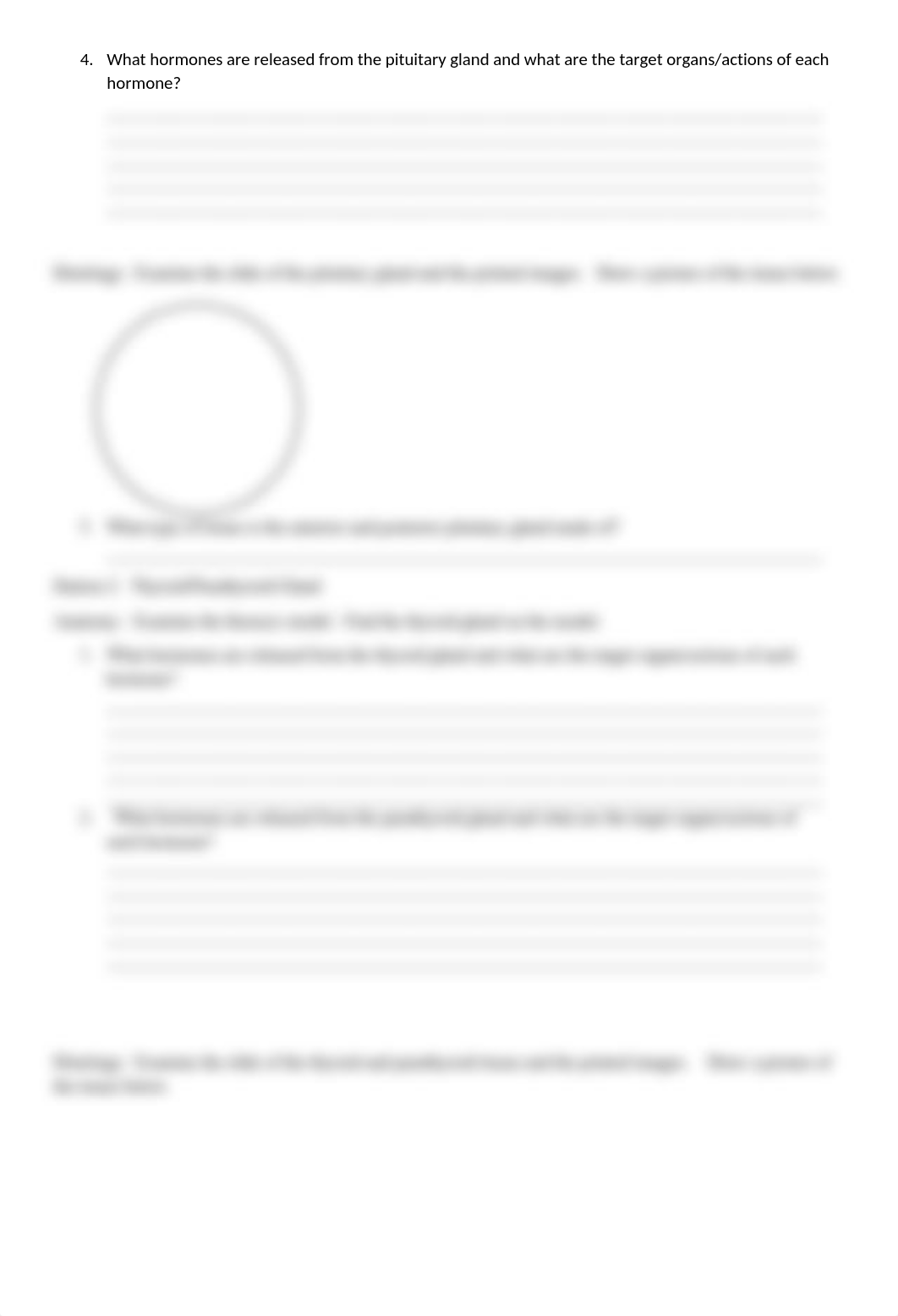 Endocrine Anatomy Lab Worksheet-1.docx_dwz4z58rija_page2