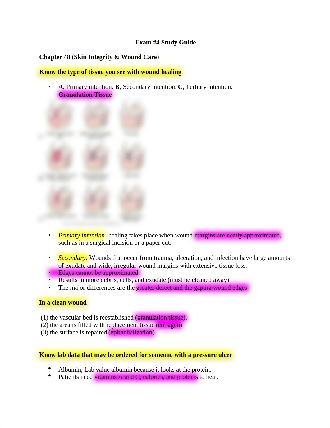 Exam #4 Study Guide-1-1-1.docx_dwzaeegfzbh_page1