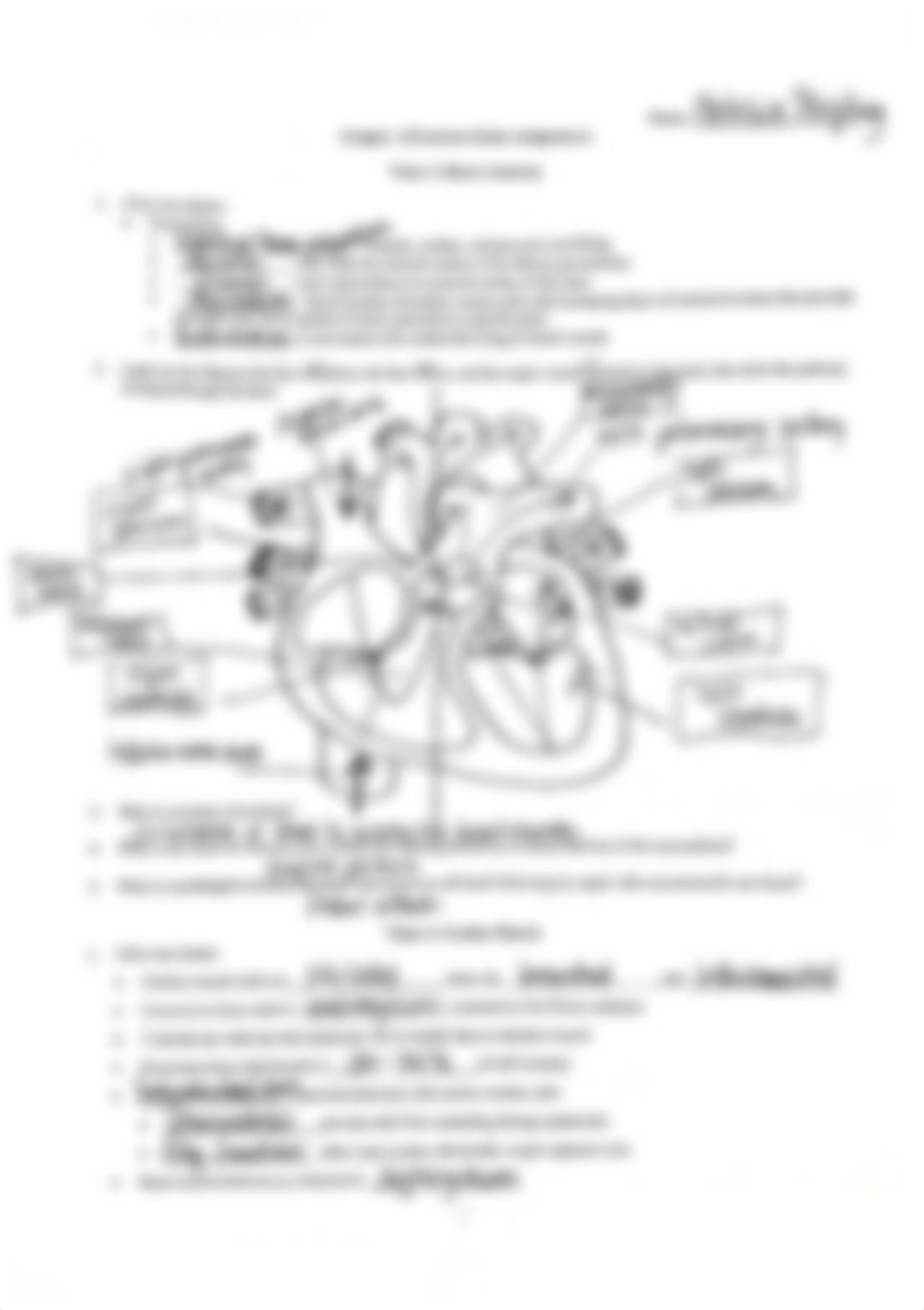 Chapter 18 External Brain.pdf_dwzaw4rjeg6_page1