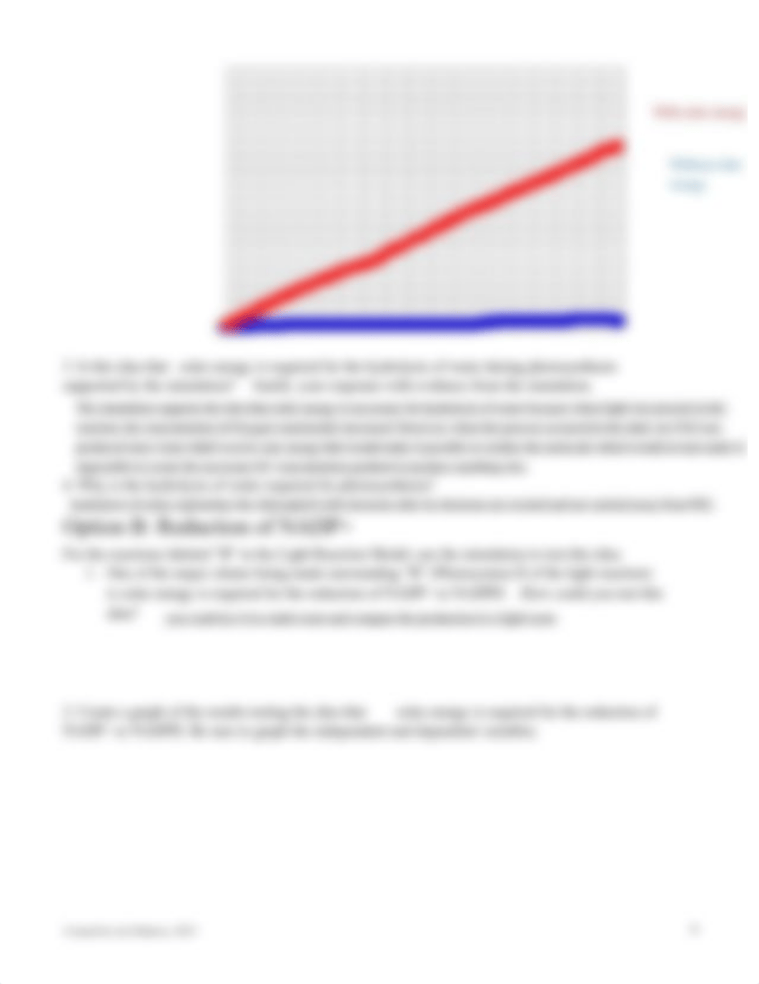 Kami Export - Photosynthesis Model and Simulation - Student (1).pdf_dwzdcpkm44e_page4