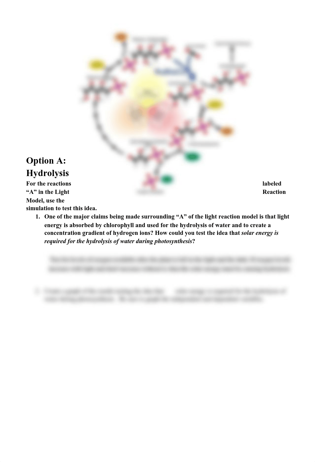 Kami Export - Photosynthesis Model and Simulation - Student (1).pdf_dwzdcpkm44e_page3