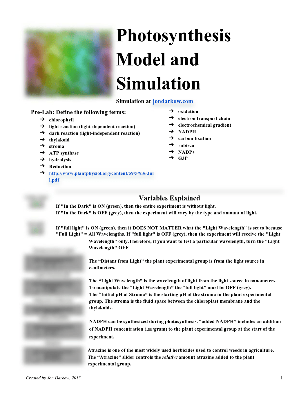 Kami Export - Photosynthesis Model and Simulation - Student (1).pdf_dwzdcpkm44e_page1