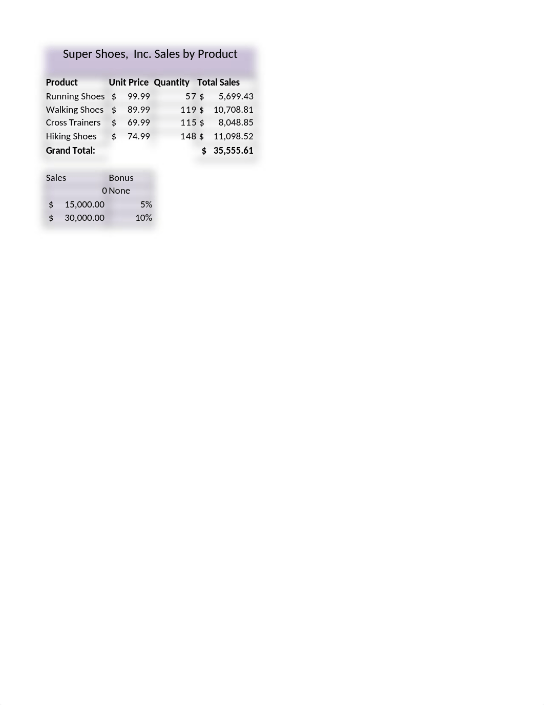 Week 8 Final Exam Excel.xlsx_dwzeq1dwv8b_page2