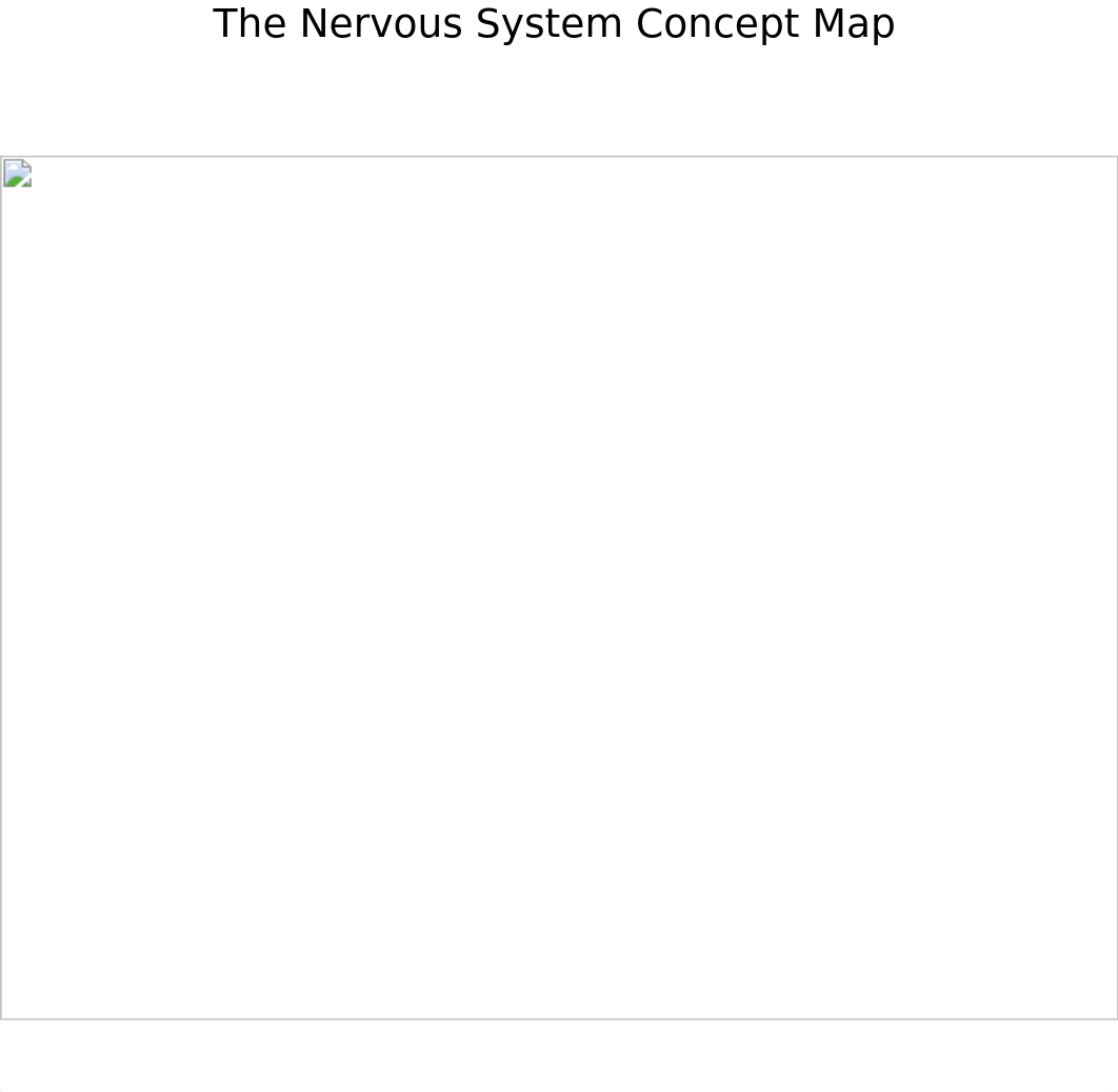 nervous_system_concept_map.doc_dwzg96307w5_page1