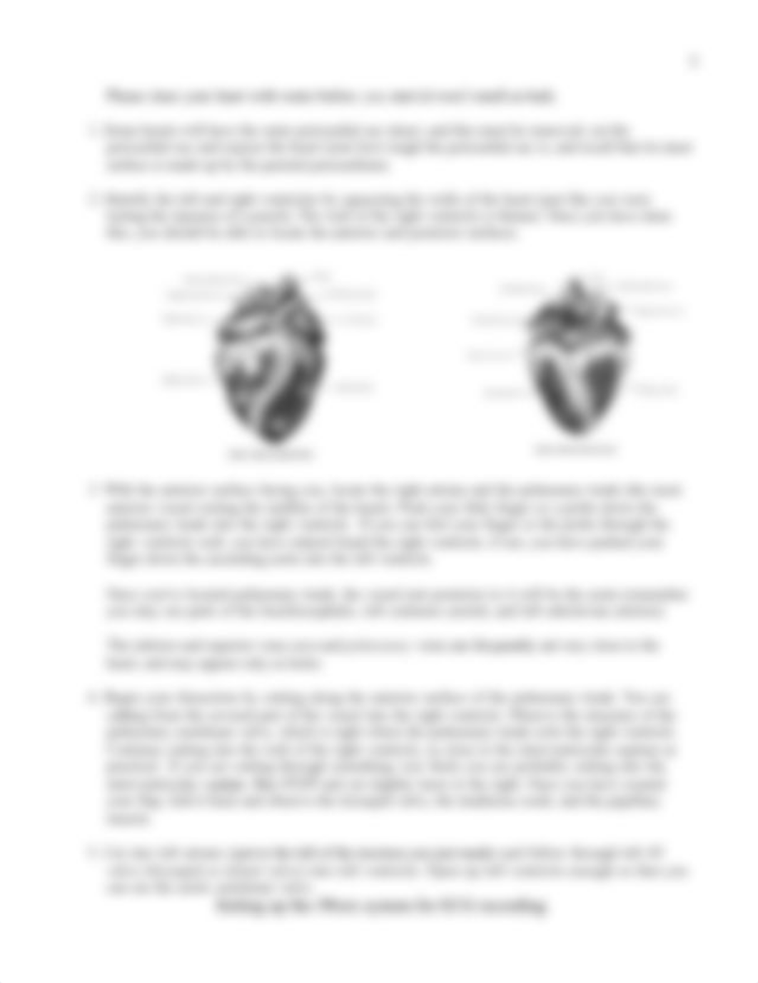 c-Heart Anatomy & Physiology Lab.S18.pdf_dx066uond0r_page3