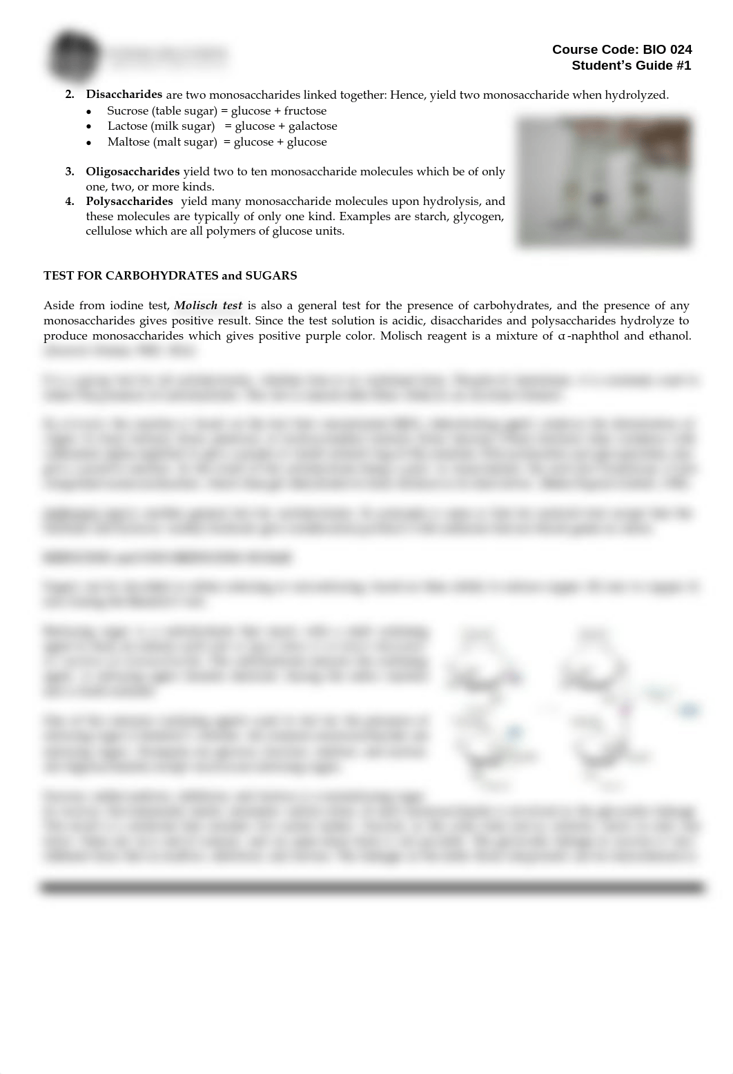 LAS.-SG-CARBOHYDRATES-2.pdf_dx082b0h3l6_page2