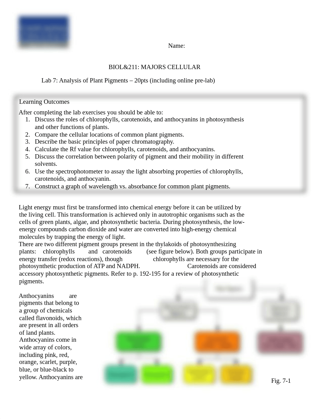 Lab 7_2021.docx_dx0bgg829l3_page1