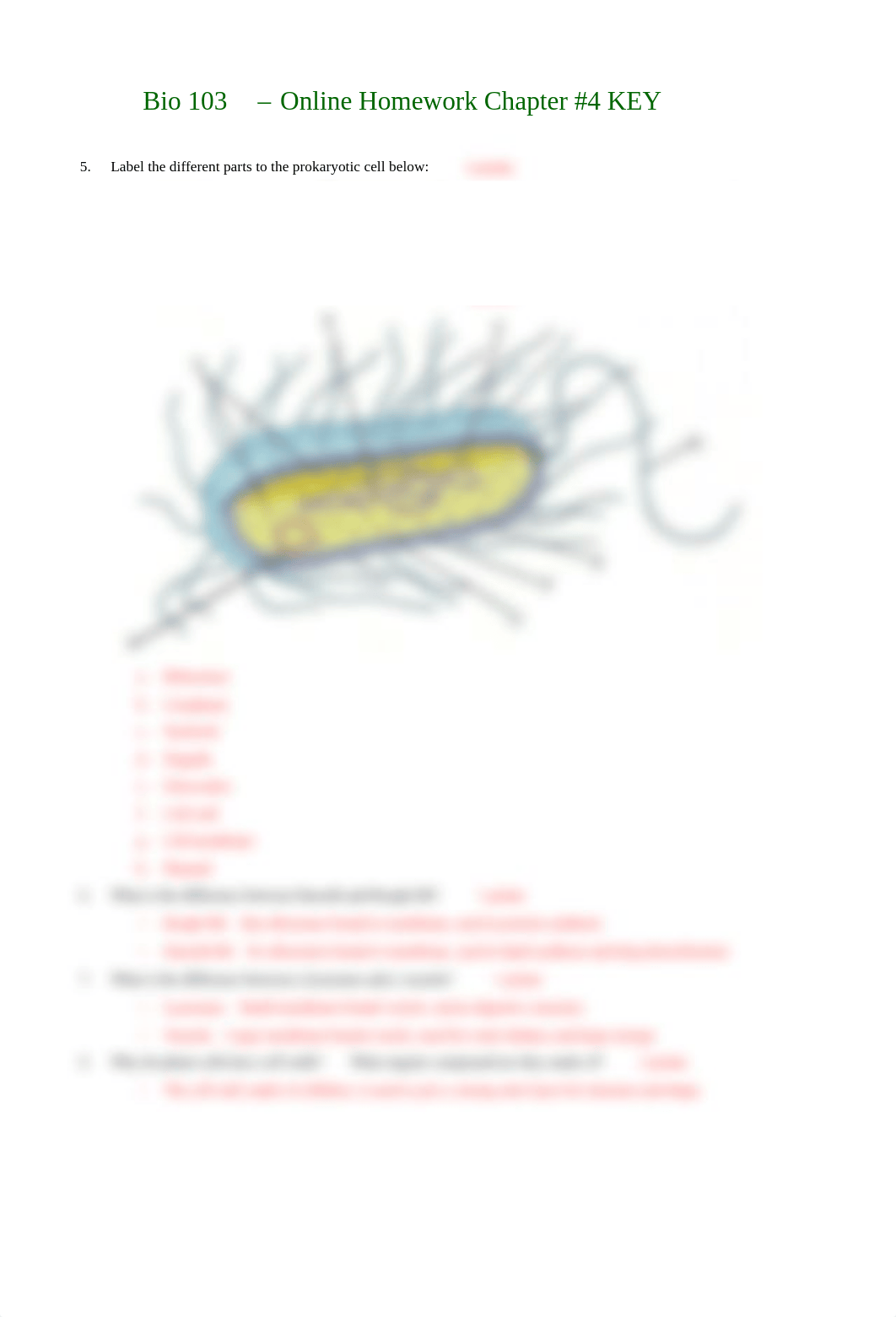 Bio 103 Homework 4 - Cells and Plasma Membrane.pdf_dx0eiwk7ikg_page2