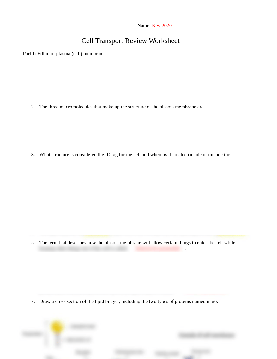 Cell Transport Review Worksheet Fall 2020 KEY.pdf_dx0epya4q56_page1