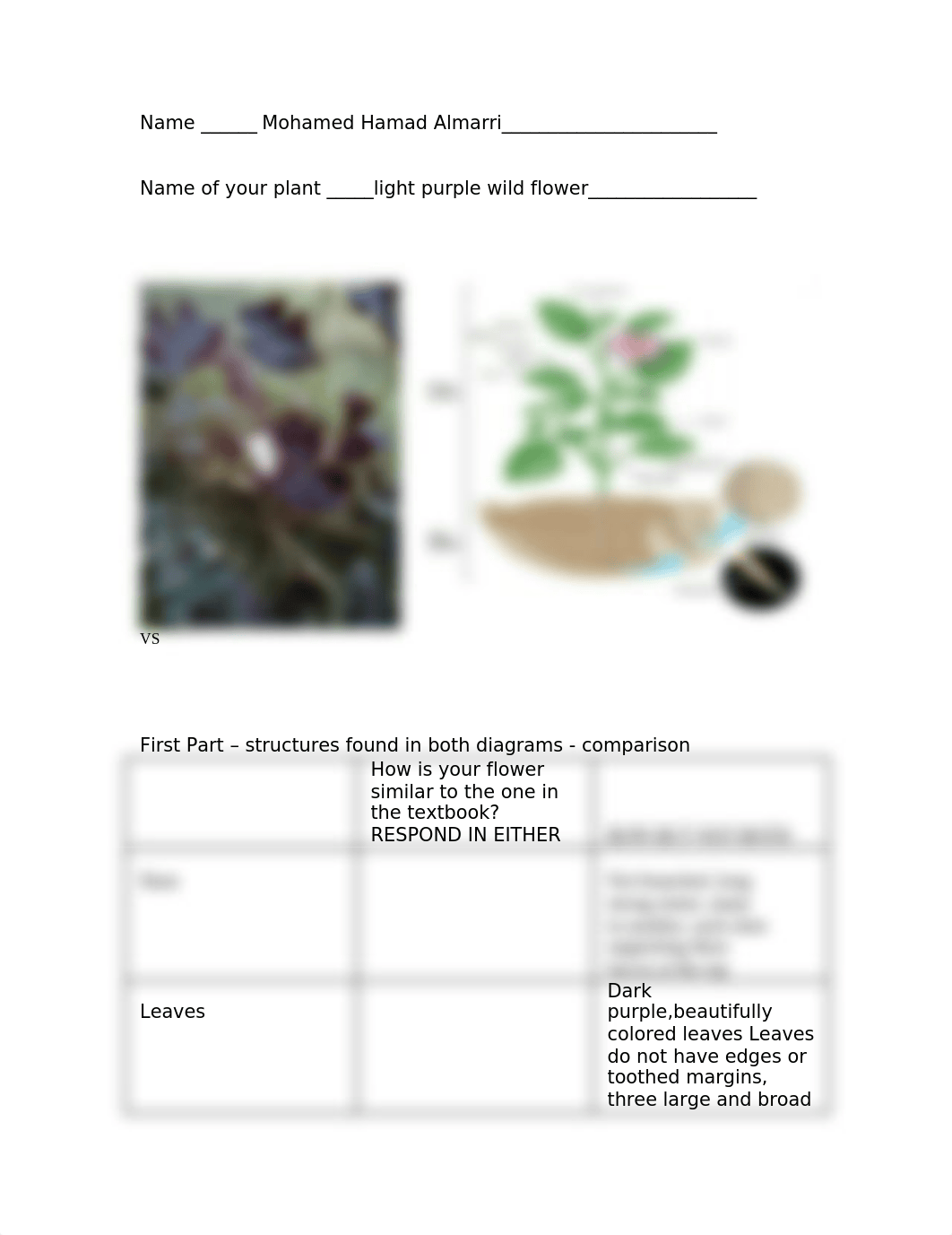 lab 13_plant rev May 2015.doc_dx0njlgjpgv_page1