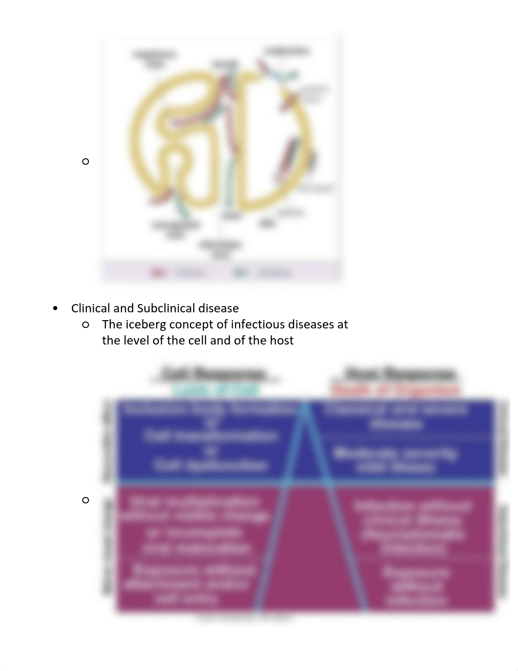 Epi Ch. 2 - The Dynamics of Disease Transmission.pdf_dx0svftn499_page3