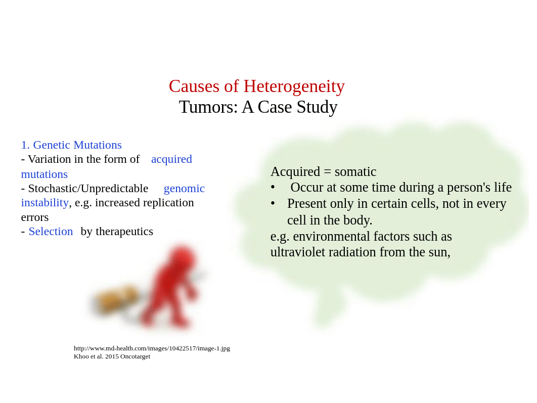 Cellular Diversity 2 summary.pdf_dx0u1gnwrjl_page3