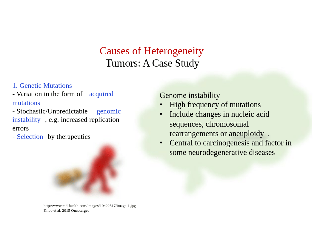 Cellular Diversity 2 summary.pdf_dx0u1gnwrjl_page5