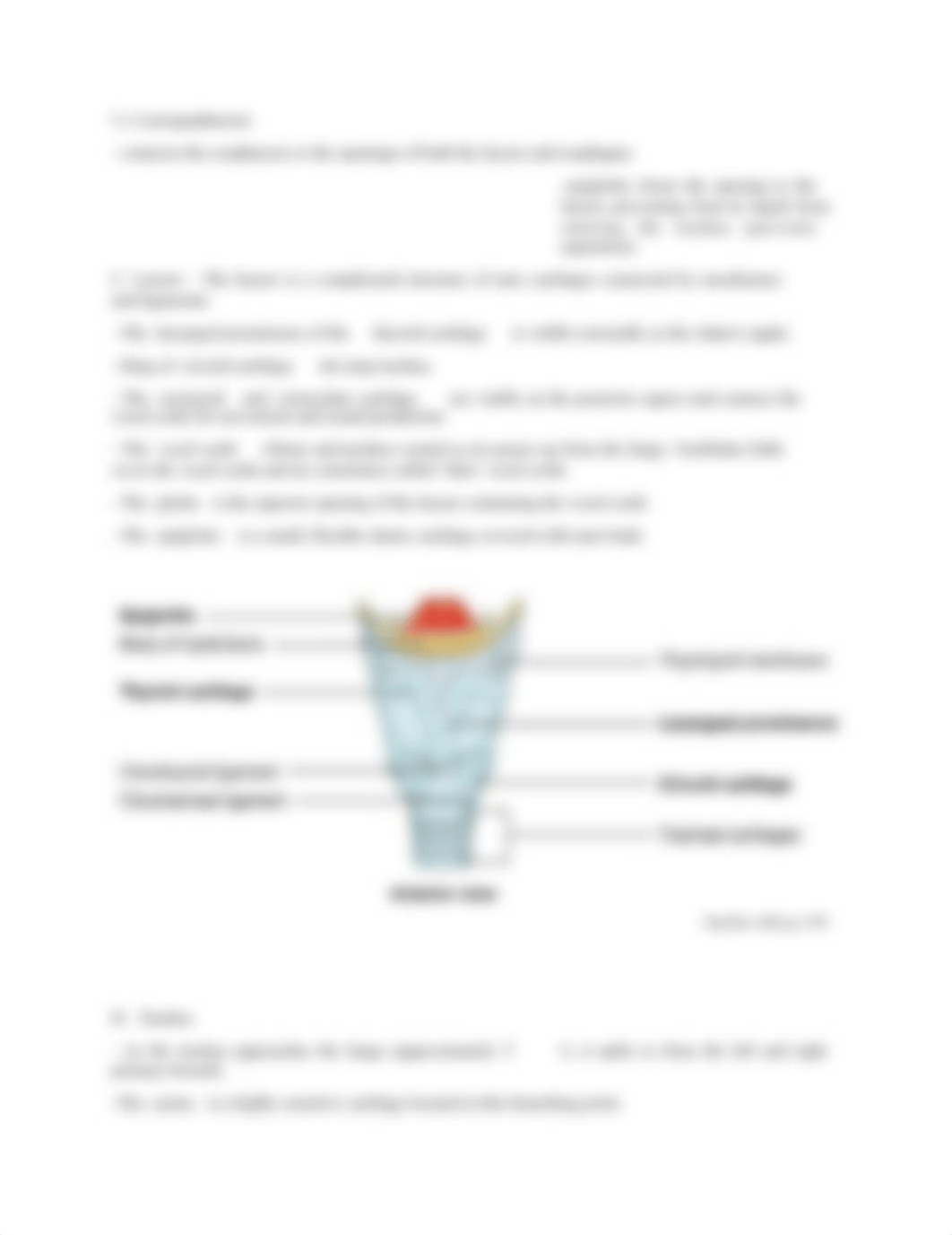 Assignment 4- Ch. 23- Respiratory system - B - Copy-Luke Lorson.pdf_dx1ccqwxsdu_page4