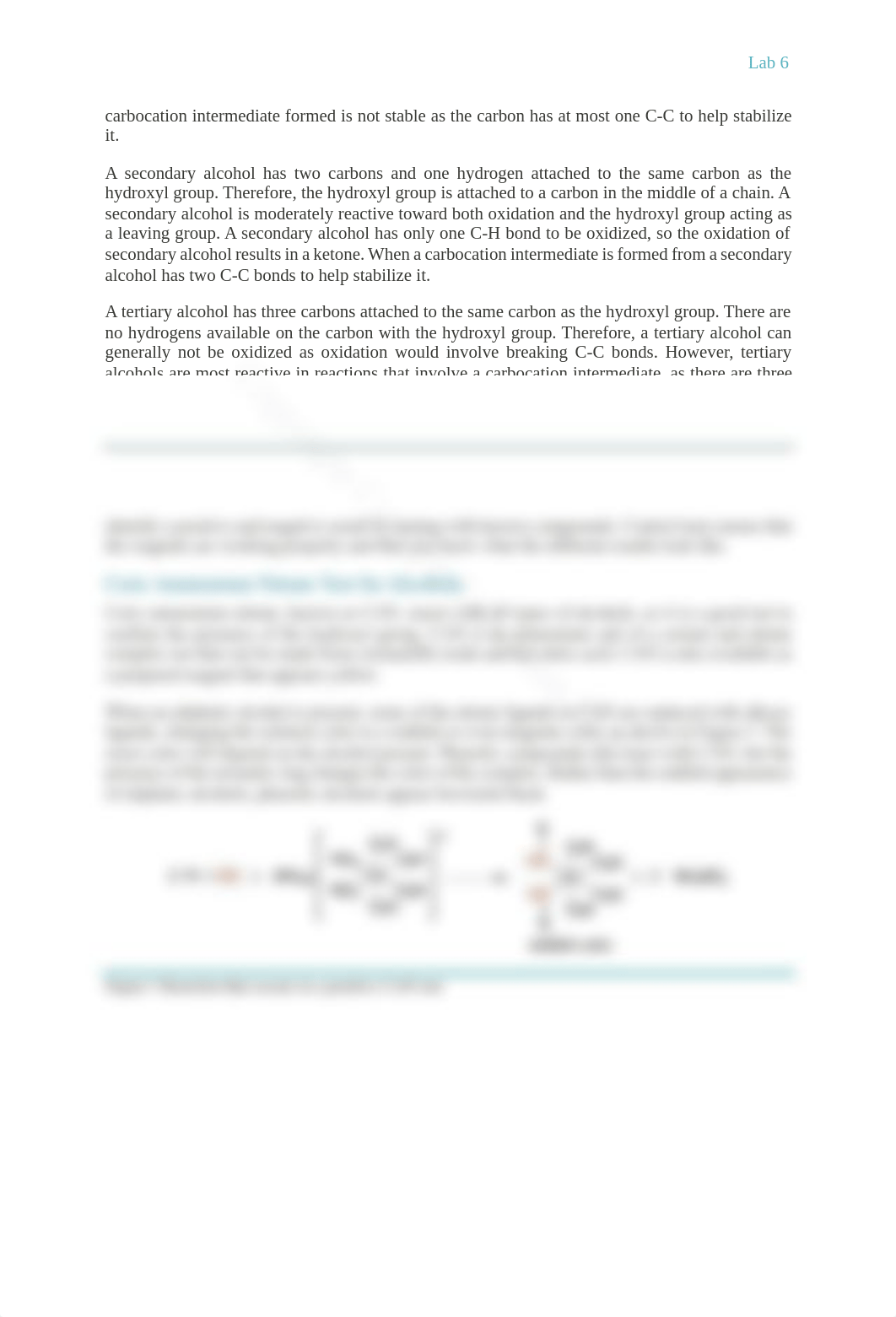 Microsoft Word - 2611 Lab 06 Classification of Alcohols.docx.pdf_dx1cvjhu60i_page2