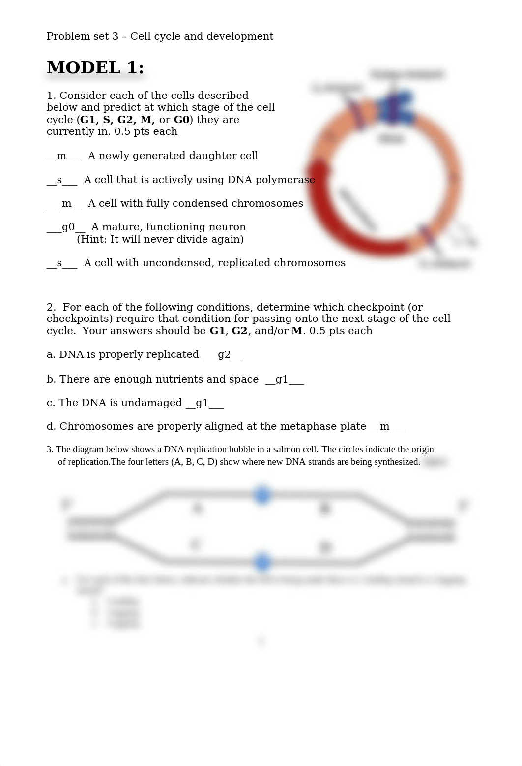 Cellcycle,rep,dev-W19.docx_dx1o8nnkr3w_page1