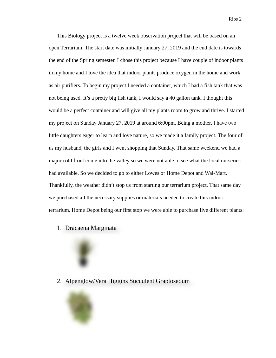 Terrarium Project.docx_dx1r9lyoypv_page2