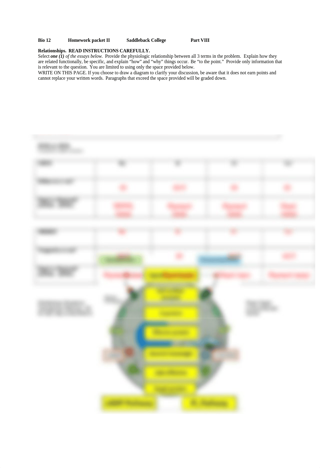 Bio 12 HW 2, Pt 8.docx_dx1uj3cwosz_page1