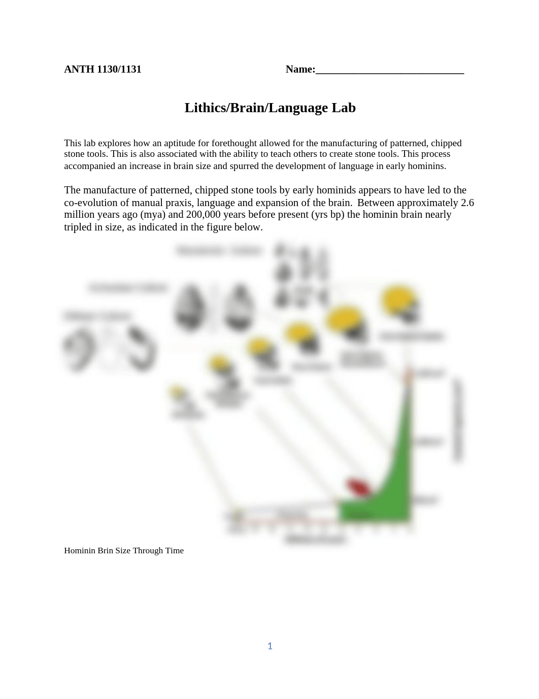 BrainLanguageLithics Lab RevFeb2021.docx_dx1w2bo1tf1_page1