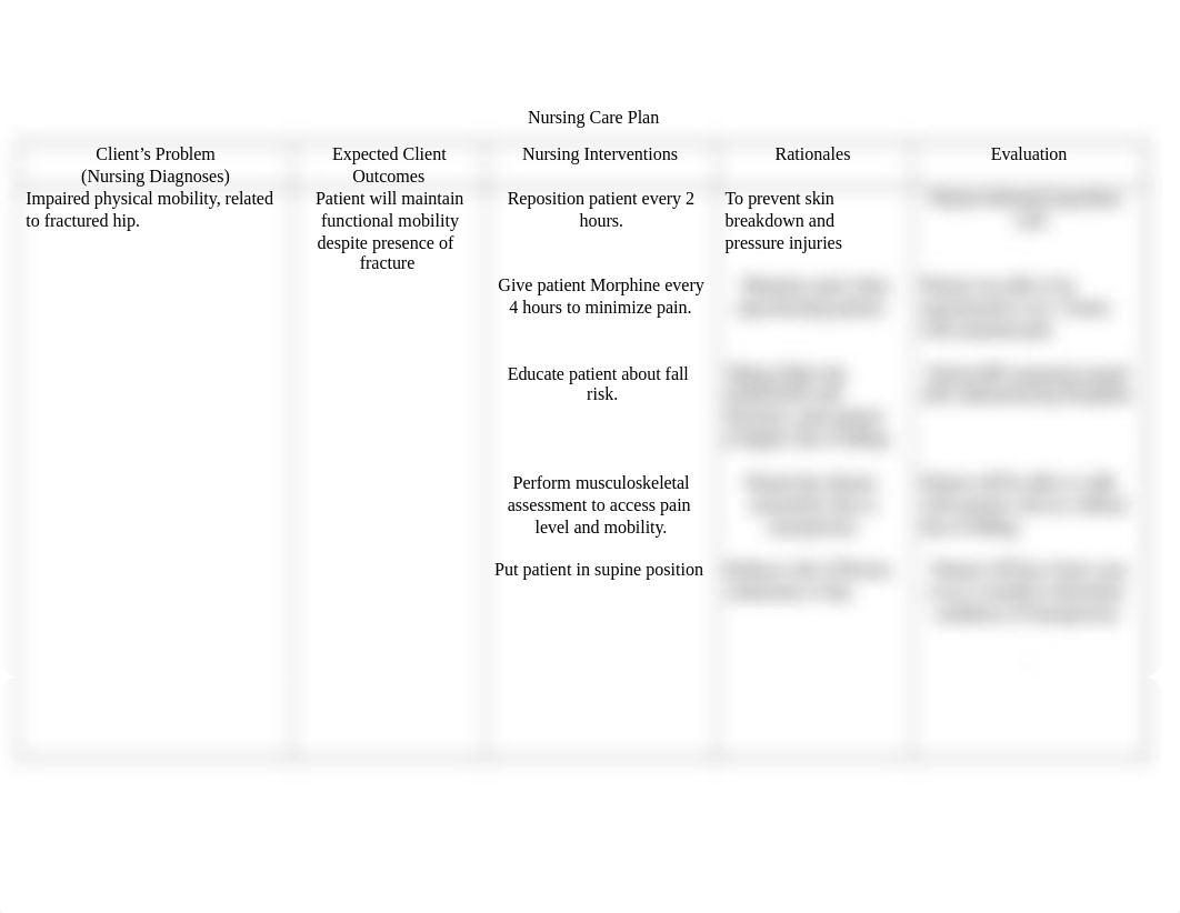 Nurse Care Plan hip fracture 2.docx_dx1wk0eotqv_page1