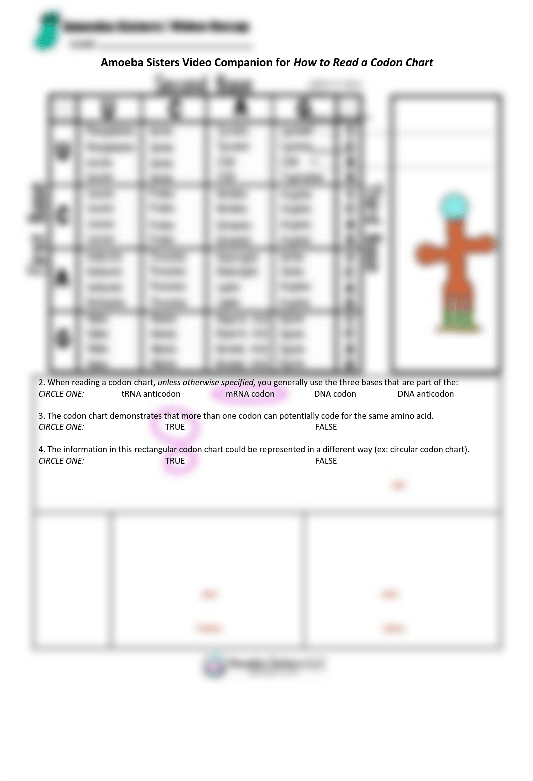 codon_chart_video_companion_by_amoeba_sisters.pdf_dx28smw1sm8_page1