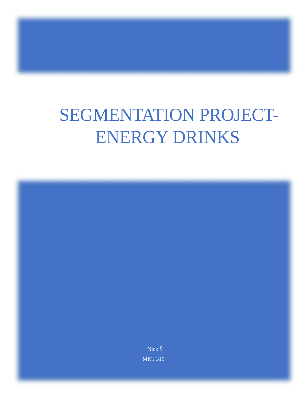 Segmentation Study - Energy Drink Market.docx_dx2iex6s2an_page1