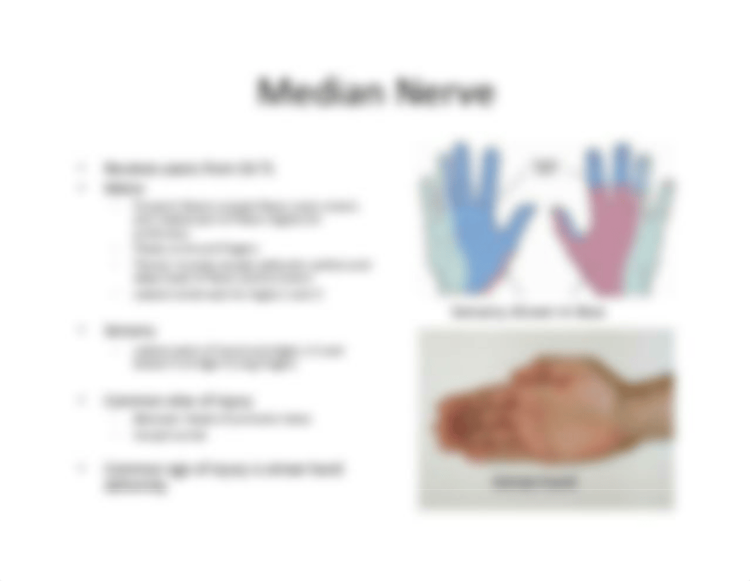 Five Nerves of the Upper Limb 2019.pdf_dx2so114a8m_page5