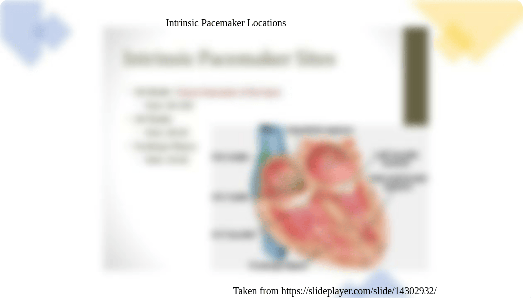 Basic EKG.pptx_dx2wy7q62h9_page3