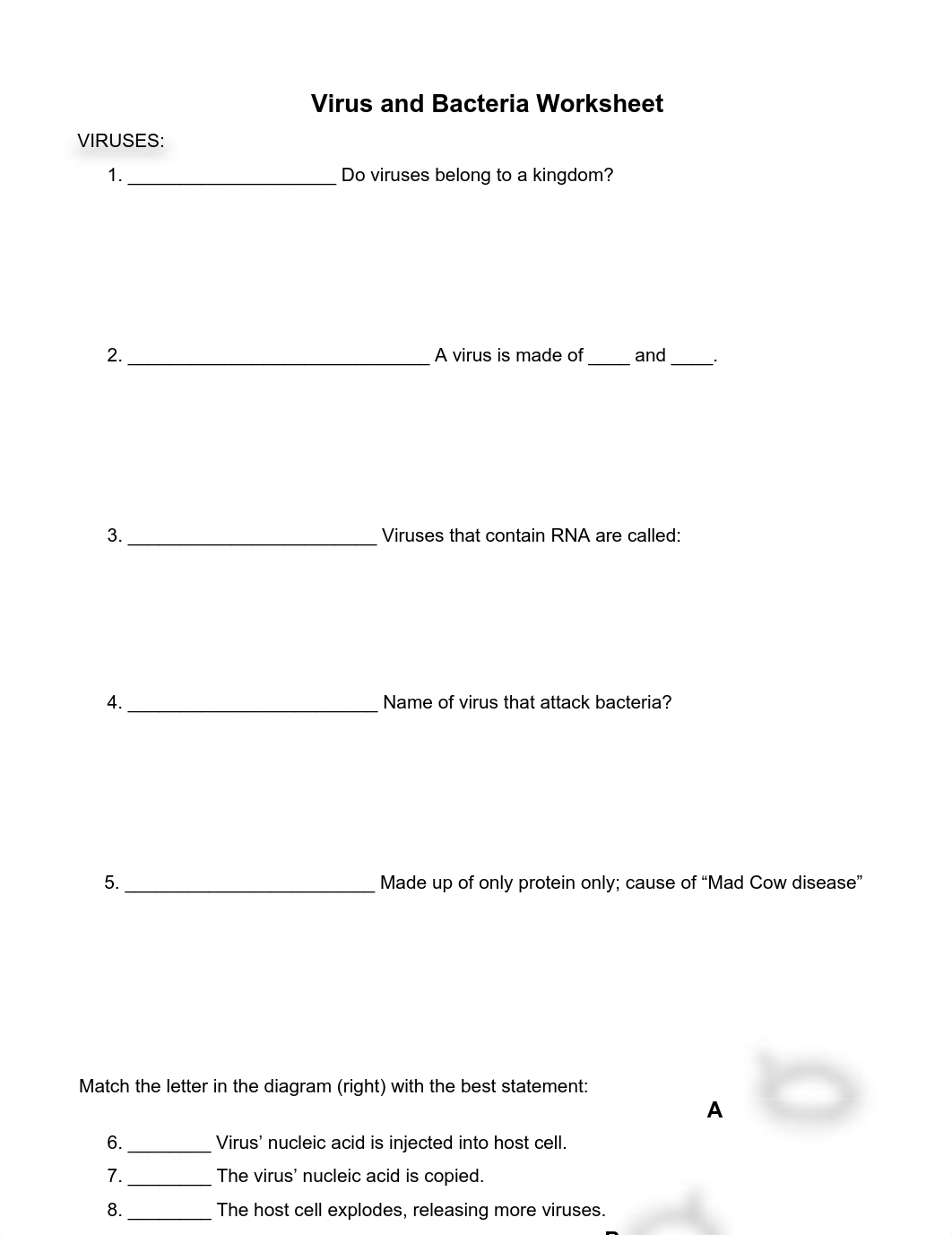 Virus and Bacteria worksheet.pdf_dx38apfkleb_page1