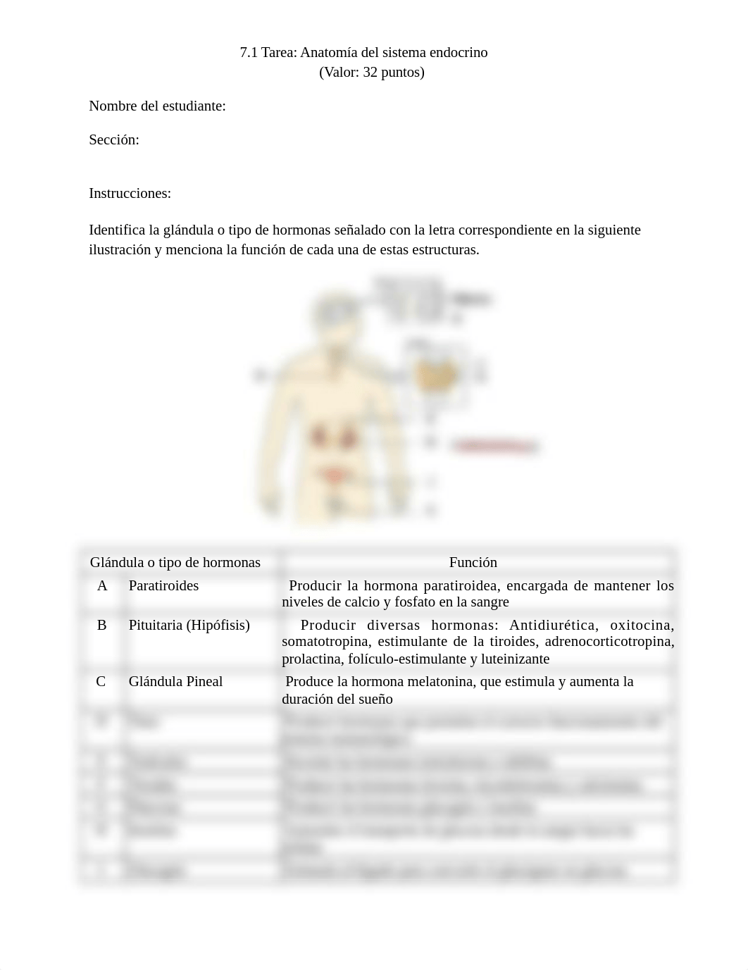 M7_ANATOMIA_DEL_SISTEMA_ENDOCRINO_TAREA_7-1.docx_dx3dfsaew5r_page1