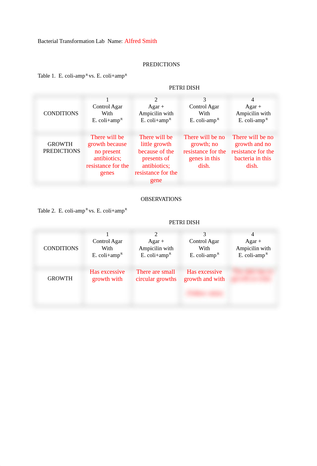 Bacterial Transformation Worksheet.docx_dx3hwat2l6b_page1