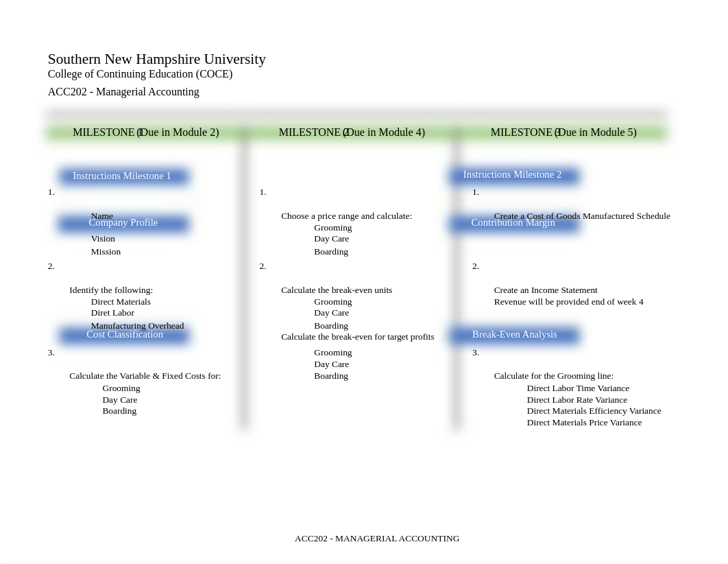 Milestone Two ACC 202 Submission Corrected.xlsx_dx3ydw2aji8_page1