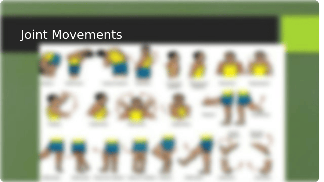 Assessing the Musculoskeletal System.pptx_dx49qj6embk_page3