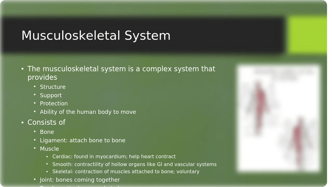 Assessing the Musculoskeletal System.pptx_dx49qj6embk_page2