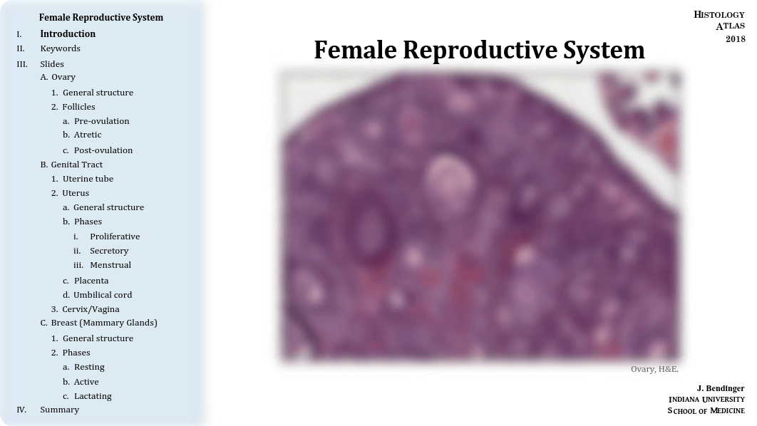 15 - Female Reproductive System.pdf_dx4medtvqi4_page1