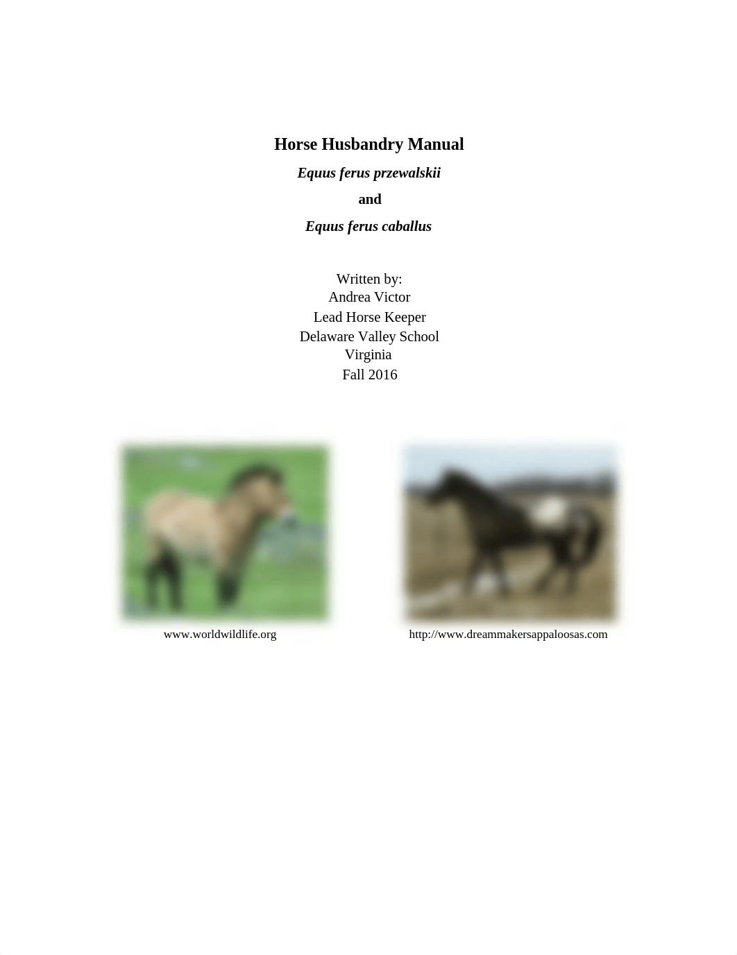 Husbandry Manual .docx_dx4nxwusoj0_page1