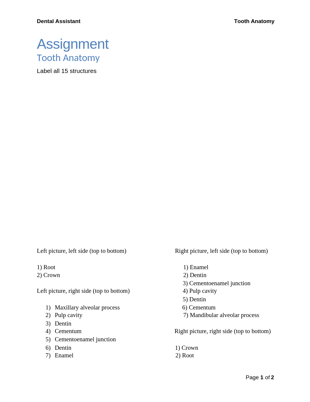 Tooth Anatomy Assignment_dx4wj6bv964_page1