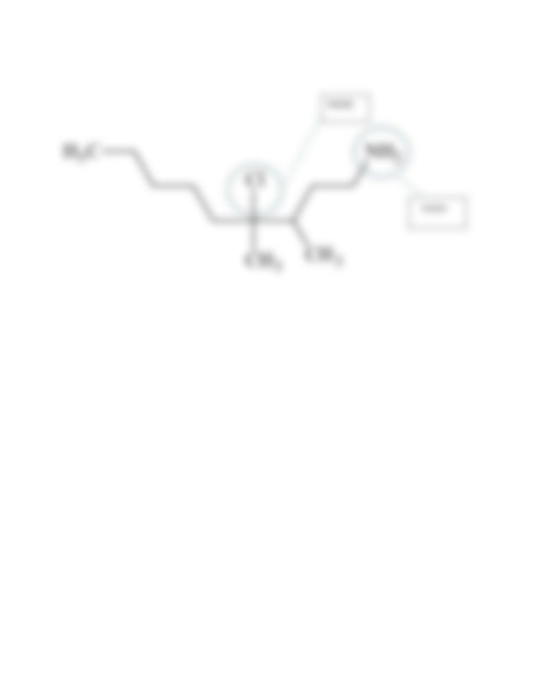 Organic_Chemistry_Lab_Project.docx1.docx_dx503vmpl7q_page4