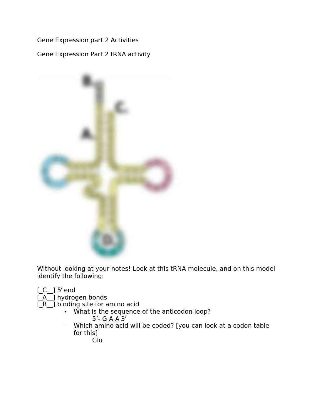 Gene Expression part 2 Activities 2.docx_dx59erln0fw_page1