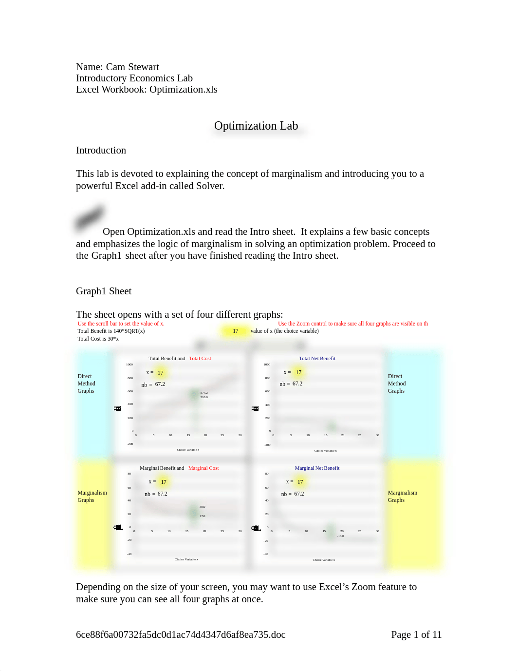 Optimization Lab_dx5d6dz7c1a_page1