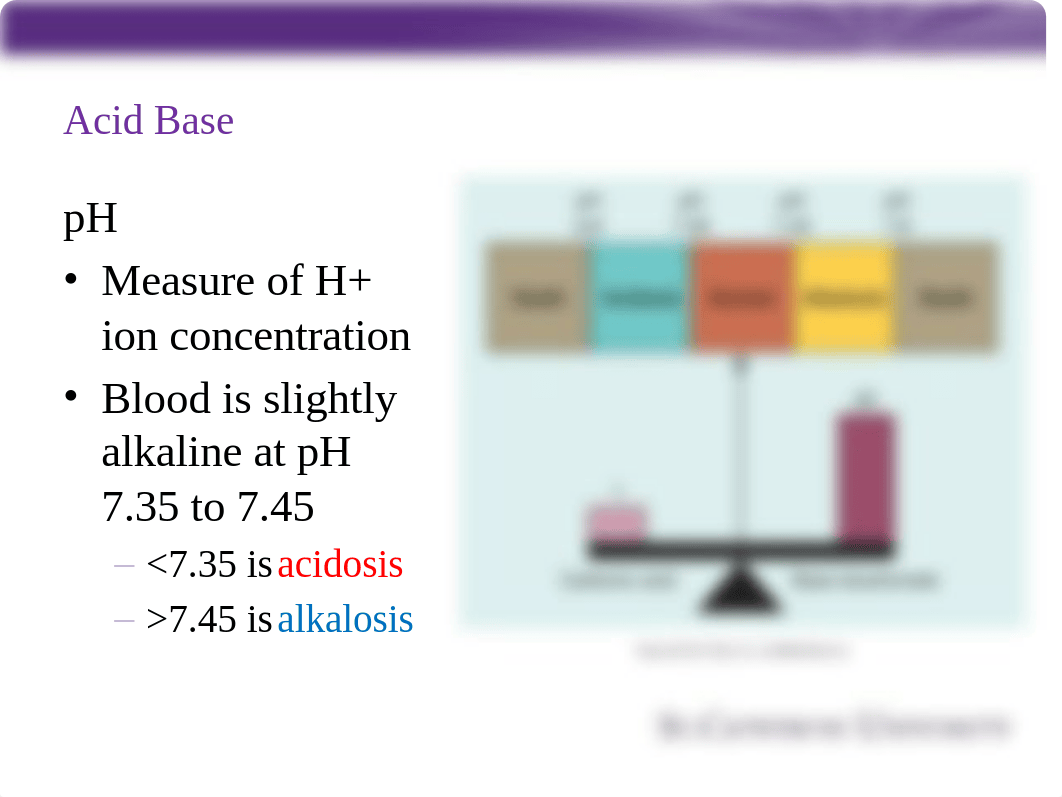 Student presentation of PPT Acid Base Balance, Chapter 16.pptx_dx5jsxrwyvx_page5