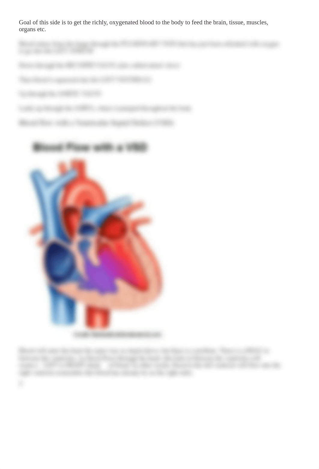 Ventricular Septal Defect.docx_dx5ok6n9dhd_page3