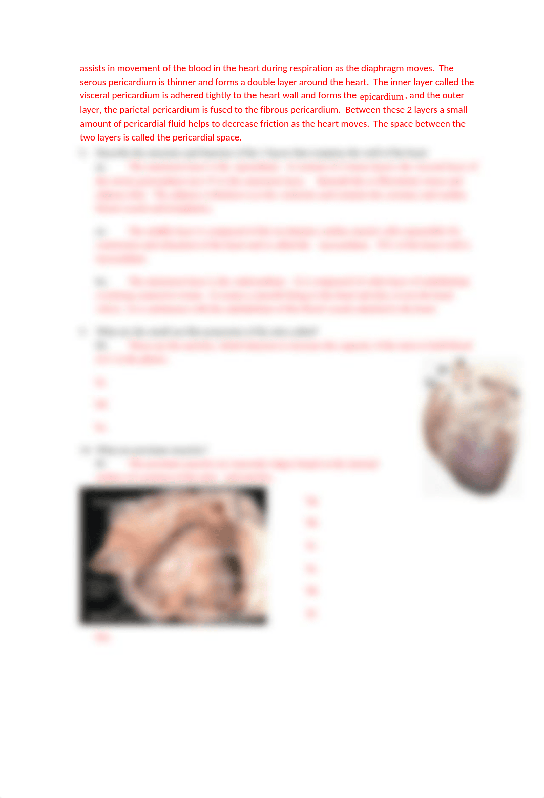 ASSN 6.2  Cardiac Anatomy, Physiology, and Function KEY .docx_dx64w6281xi_page5