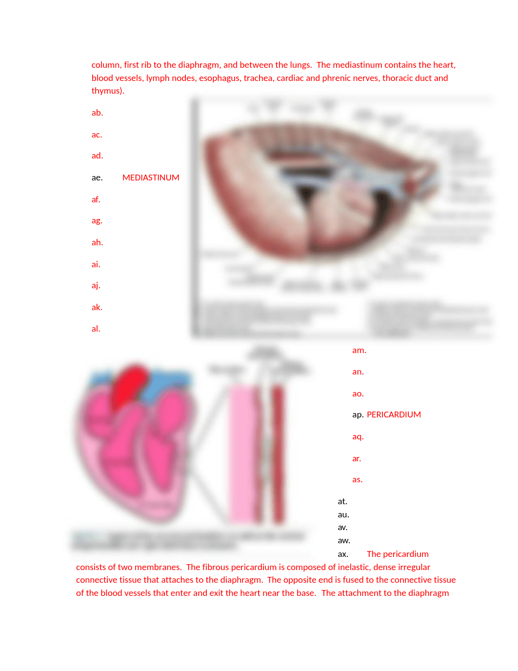 ASSN 6.2  Cardiac Anatomy, Physiology, and Function KEY .docx_dx64w6281xi_page4