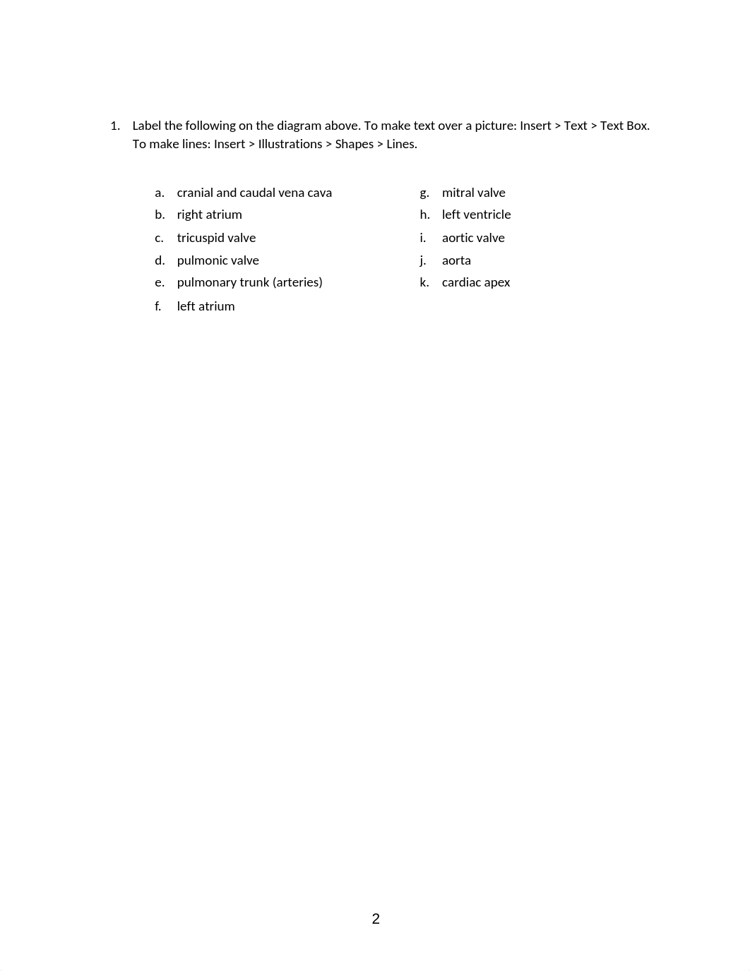 ASSN 6.2  Cardiac Anatomy, Physiology, and Function KEY .docx_dx64w6281xi_page2