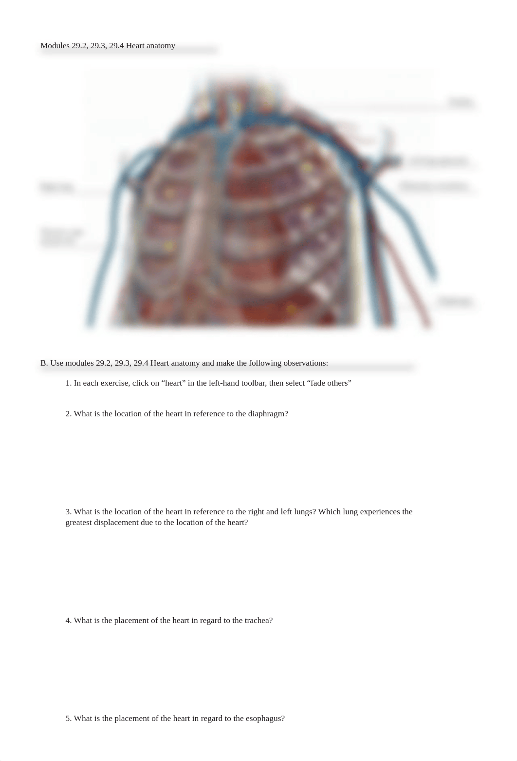 human-heart-ap-answer-key.pdf_dx6jnq0fdru_page4